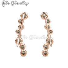 Swarovski Crystals Octa Circle Earrings - Her Jewellery